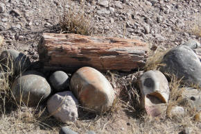 Detalle de la roca esculpida del cañón — El Chiflón, La Rioja.