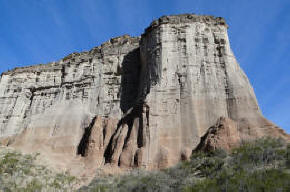 Troncos petrificados sobre la montaña — El Chiflón, La Rioja.