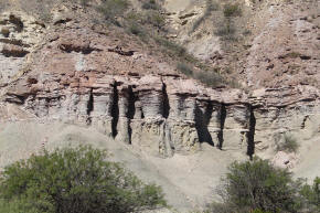 Troncos petrificados sobre la montaña — El Chiflón, La Rioja.