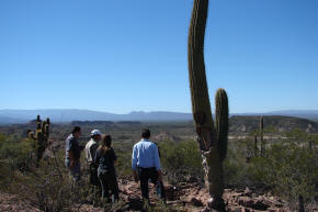 Paisaje árido con relieves sedimentarios — El Chiflón, La Rioja.