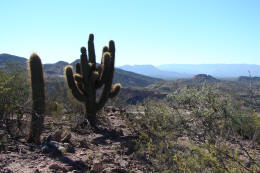 Sendero de ascenso al cerro El Volcán, coronado por un pucará indígena.