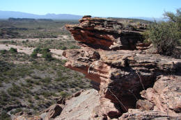 Fragmentos de troncos petrificados sobre la montaña de El Chiflón.