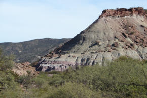 Troncos petrificados sobre la montaña — El Chiflón, La Rioja.